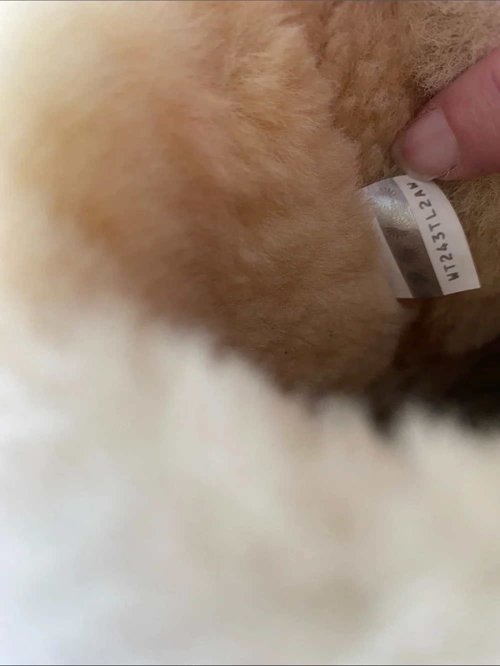 UGG cozy shearling